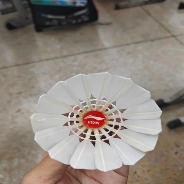 苏炳添领衔接力赛备战动态
